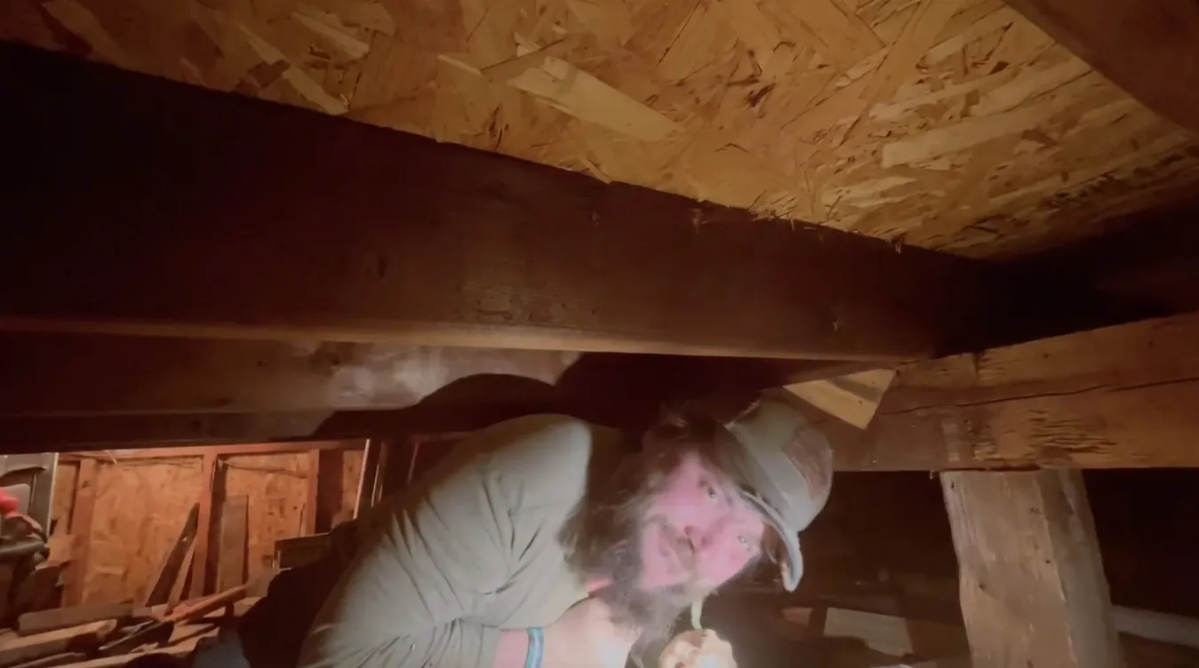 Video 6